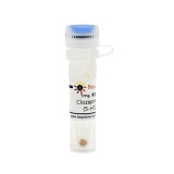 碧云天 Clozapine N-Oxide (5-HT2拮抗剂)(SD2461-5mg)