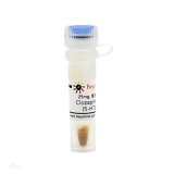 碧云天 Clozapine N-Oxide (5-HT2拮抗剂)(SD2461-25mg)