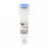 碧云天 Indiplon (GABA Receptor调节剂)(SF9002-5mg)