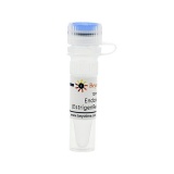 碧云天 Endoxifen HCl (Estrigen Receptor拮抗剂)(SD0011-10mM)