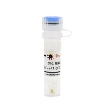 碧云天 MK-571 (LTD4受体拮抗剂)(SD2398-5mg)