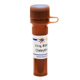 碧云天 Chelerythrine (PKC 抑制剂)(SC0317-25mg)