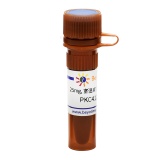 碧云天 PKC412 (PKC抑制剂)(SC0375-25mg)