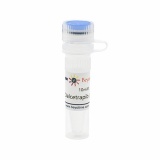 碧云天 Dalcetrapib (CETP抑制剂)(SD7207-10mM)