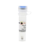 碧云天 Darapladib (Lp-PLA2抑制剂)(SD7243-5mg)