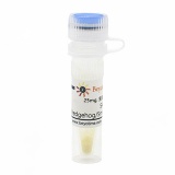 碧云天 SAG (Hedgehog/Smoothened激动剂)(SF6836-25mg)