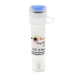 碧云天 ITD 1 (TGF-β Receptor抑制剂)(SF7899-5mg)
