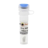 碧云天 DBeq (p97抑制剂)(SG0006-25mg)
