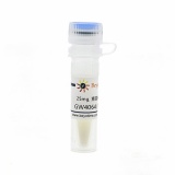 碧云天 GW4064 (FXR激动剂)(SF1150-25mg)