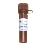 碧云天 AEE788 (NVP-AEE788) (EGFR抑制剂)(SC0024-5mg)