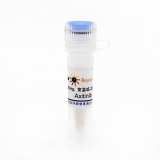 碧云天 Axitinib (VEGFR抑制剂)(SC0137-25mg)