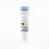 碧云天 Gefitinib (EGFR抑制剂)(SC0186-25mg)