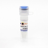 碧云天 Imatinib (PDGFR抑制剂)(SC0200-10mM)