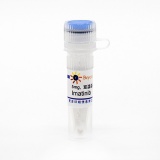 碧云天 Imatinib (PDGFR抑制剂)(SC0200-5mg)
