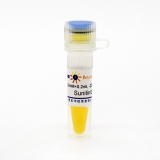 碧云天 Sunitinib (PDGFR抑制剂)(SC0240-10mM)