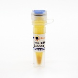 碧云天 Sunitinib (PDGFR抑制剂)(SC0240-25mg)