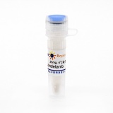 碧云天 Vandetanib (VEGFR抑制剂)(SC0249-25mg)