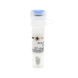 碧云天 DMXAA (DT-diaphorase抑制剂)(SC1031-25mg)