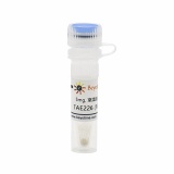 碧云天 TAE226 (FAK抑制剂)(SC1076-5mg)