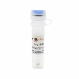 碧云天 PF562271 (FAK抑制剂)(SC1094-5mg)