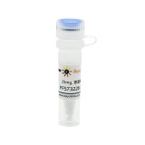 碧云天 PF573228 (FAK抑制剂)(SC1099-25mg)