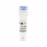 碧云天 FG2216 (HIF抑制剂)(SC1121-5mg)