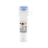 碧云天 BAY87-2243 (HIF抑制剂)(SC1193-5mg)