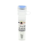 碧云天 PF-431396 (FAK抑制剂)(SC1198-25mg)