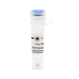 碧云天 Marimastat (MMP抑制剂)(SD7176-5mg)