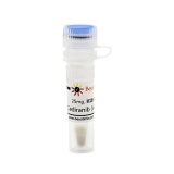 碧云天 Cediranib (VEGFR抑制剂)(SF5287-25mg)