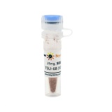 碧云天 TSU-68 (VEGFR抑制剂)(SF5301-25mg)