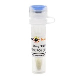 碧云天 AMG706 (VEGFR抑制剂)(SF5377-25mg)
