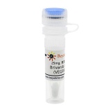 碧云天 Brivanib alaninate (VEGFR抑制剂)(SF5436-25mg)