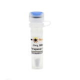 碧云天 Vorapaxar (PAR-1拮抗剂)(SD2416-25mg)