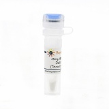 碧云天 Dabigatran (Thrombin抑制剂)(SF1073-25mg)