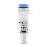 碧云天 4-硝基苯-α-D-吡喃半乳糖苷(≥99%, Reagent grade)(ST1038-250mg)