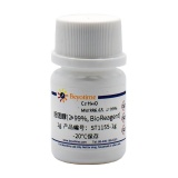 碧云天 胆固醇(≥99%, BioReagent)(ST1155-1g)