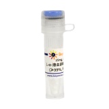 碧云天 L-α-溶血卵磷脂来源于鸡蛋黄(≥99%, Reagent grade)(ST1425-25mg)