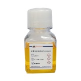 碧云天 无菌玉米油(BioPremium)(ST2308-100ml)