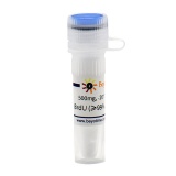 碧云天 BrdU (≥99%, Reagent grade)(ST1056-500mg)