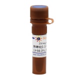 碧云天 胞嘧啶β-D-呋喃阿拉伯糖苷(≥98.0%, Reagent grade)(ST1204-250mg)