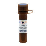 碧云天 β-NADPH (≥97%, Reagent grade)(ST1110-25mg)