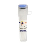 碧云天 β-NADP (≥98%, Reagent grade)(ST2812-50mg)