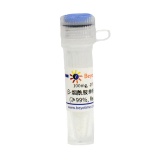 碧云天 β-烟酰胺单核苷酸(β-NMN) (≥99%, Reagent grade)(ST2816-100mg)