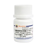 碧云天 β-烟酰胺单核苷酸(β-NMN) (≥99%, Reagent grade)(ST2816-500mg)