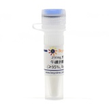 碧云天 牛磺胆酸钠盐水合物(≥95%, Reagent grade)(ST1690-250mg)