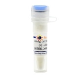 碧云天 (+) - Abscisic Acid (脱落酸, ≥98%, BioReagent)(ST1751-100mg)