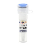 碧云天 氟西汀盐酸盐(Reagent grade)(ST1330-50mg)
