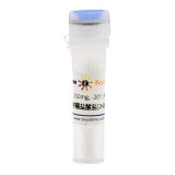 碧云天 吡哆醛盐酸盐(≥99%, Reagent grade)(ST1618-250mg)