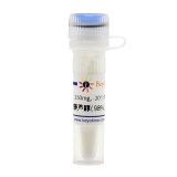 碧云天 白藜芦醇( 98%, Reagent grade)(ST1623-250mg)